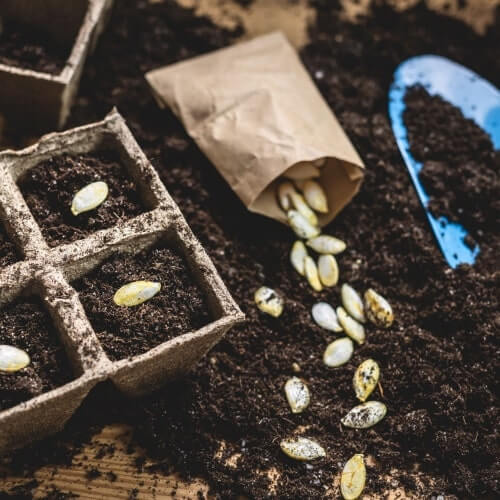 播种日历页面上的月份选择
