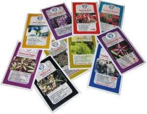 Seeds from Tasmania 品牌的种子包装